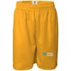 Men's Pro Mesh 9" Shorts Thumbnail